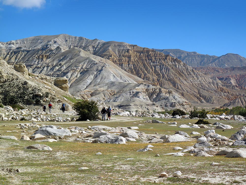 Mustang Trekking